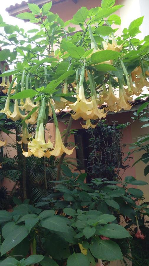 Eco Pousada Jardim Do Eden Alto Paraíso de Goiás Εξωτερικό φωτογραφία