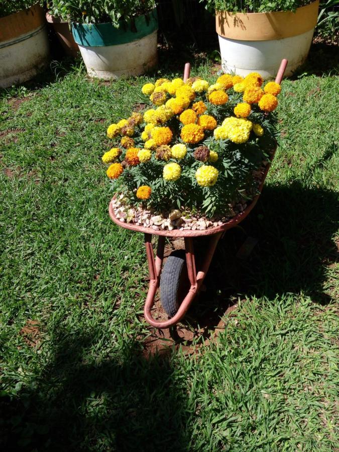 Eco Pousada Jardim Do Eden Alto Paraíso de Goiás Εξωτερικό φωτογραφία